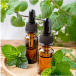 Peppermint Oil Manufacturer - Steam Distilled