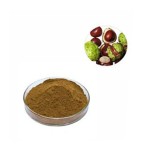 Aesculus Extract Supplier - 20% Aescin Food Grade