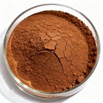 Siberian Ginseng Extract Supplier - Eleutherosides