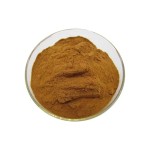 Vegetable Powder Factory - 100% Natural Okra