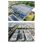 Sea Buckthorn Extract Manufacturer - 25% Flavonoids