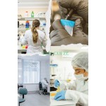 Sea Buckthorn Extract Manufacturer - 25% Flavonoids