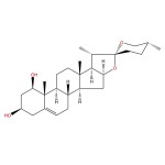 Butchers Broom Extract Supplier - 20:1 Root