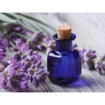 Lavender Essential Oil Manufacturer - Steam Distilled