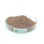 Citrus Glucoside Manufacturer - Citrus Paradisi