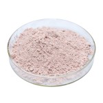 Lactoferrin Powder Supplier - 95% Bovine