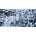 Huperzia Serrata Extract Factory - Synthetic 1%