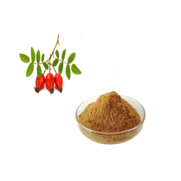 Rosehip Extract Factory - 10% Flavonoids Powder