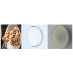 Nattozimes Powder Manufacturer - 40000FU/G K2 Free