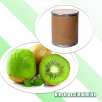 Dihydroactinidiolide Manufacturer - Natural Fragrance 98%