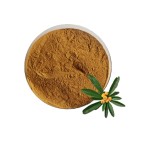 Citrus Extract Supplier - Dulcis Extract 60%