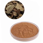 Pine Bark Extract Manufacturer - 95% OPC Powder