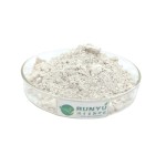 Polygonum Extract Manufacturer - Resveratrol 98%