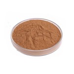 Pine Bark Extract Manufacturer - 95% OPC Powder