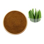 Okra Extract Supplier - 30:1 Seed Powder