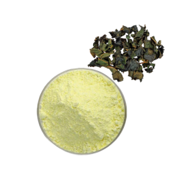 Horny Goat Weed Factory - Icariin Extract OEM