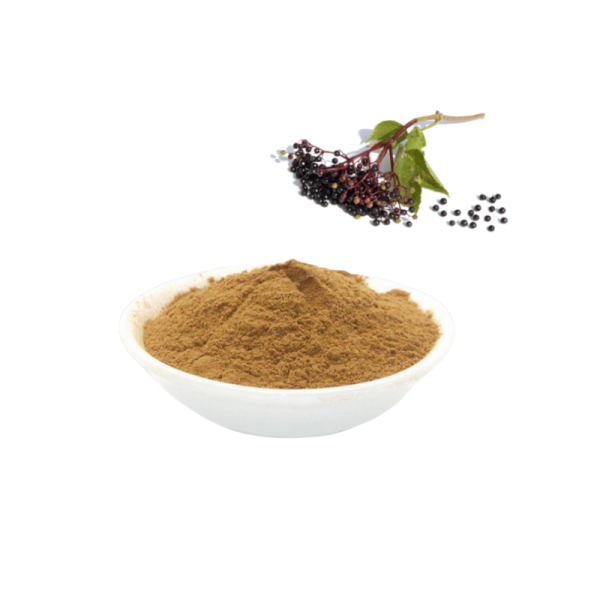 Evodiamine Powder Supplier - 98% Rutaecarpine Extract
