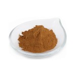 Acanthopanax Extract Supplier - Eleutheroside B+E