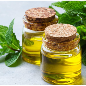 Peppermint Oil Manufacturer - Steam Distilled