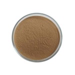Acanthopanax Extract Supplier - Eleutheroside B+E