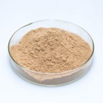 Synthetic Huperzine-A Supplier - 1-99% Powder