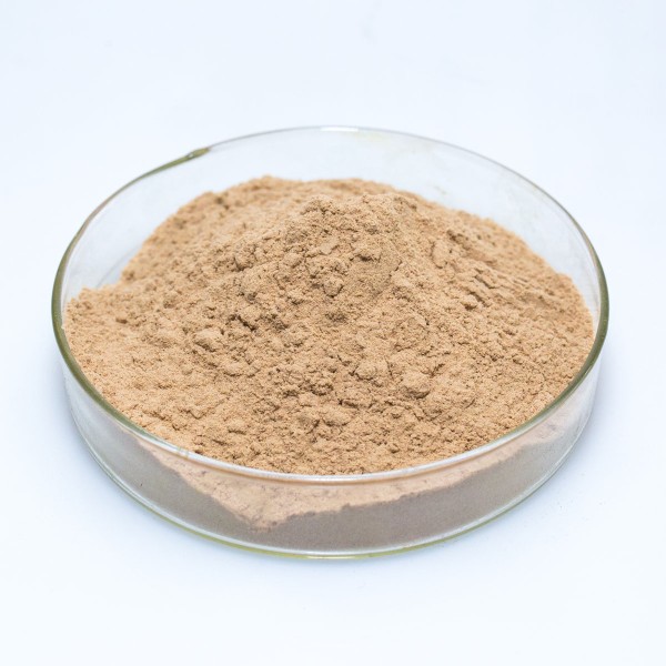 Synthetic Huperzine-A Supplier - 1-99% Powder