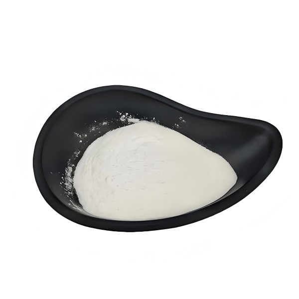 Huperzine A Powder Factory - 1% Leaf Extract