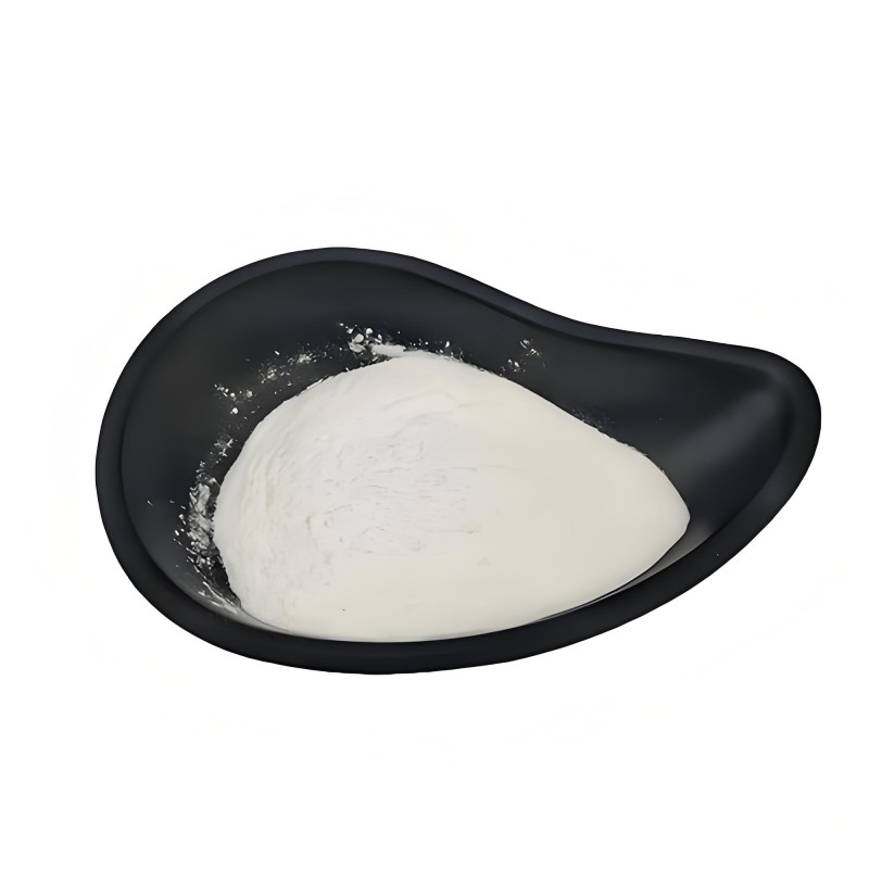 Huperzine A Powder Factory - 1% Leaf Extract