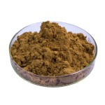 Polygonum Extract Factory - 50% Resveratrol