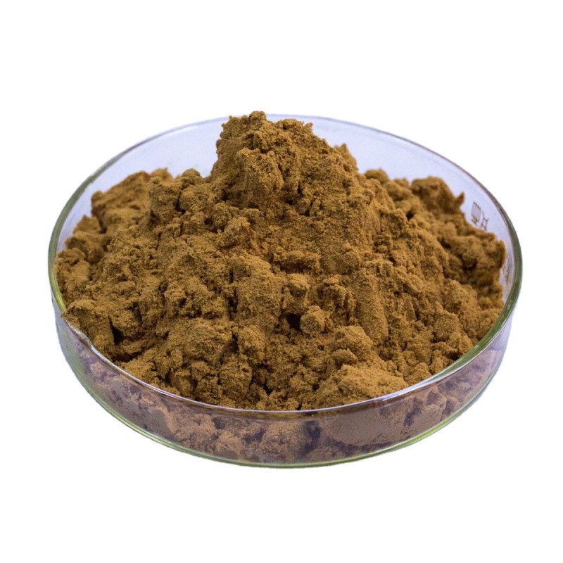 Polygonum Extract Factory - 50% Resveratrol