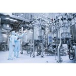 Huperzia Extract Manufacturer - Huperzine A 1-98%