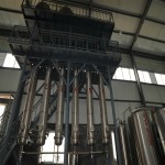 Ruscogenins Powder Factory - 5% OEM Service