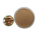 Acanthopanax Extract Supplier - Eleutheroside B+E