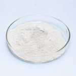 Natto Extract Supplier - Nattokinase Powder
