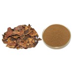 Pomegranate Extract Manufacturer - Punicalagin 20-40%