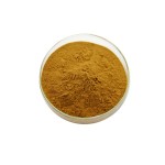 Astragalus Extract Supplier - Astragaloside A