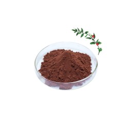 Butcher's Broom Extract Factory - Ruscogenin