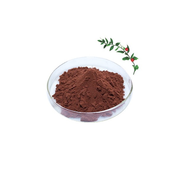 Butcher's Broom Extract Factory - Ruscogenin