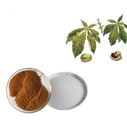 Horse Chestnut Extract Supplier - Aescin Powder