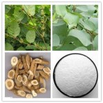 Transresveratrol Supplier - 98% Natural Powder