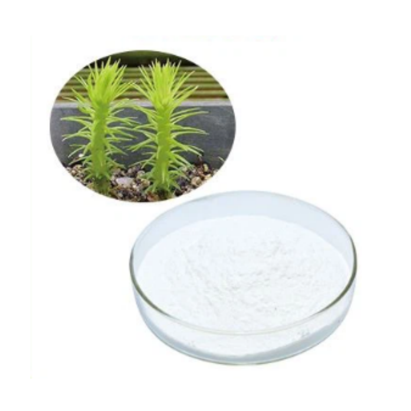 Huperzia Extract Manufacturer - Huperzine A 1-98%