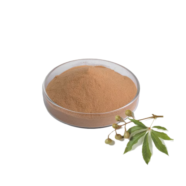 Horse Chestnut Extract Manufacturer - 20% Aescin HPLC