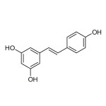 Polygonum Extract Manufacturer - Resveratrol 98%