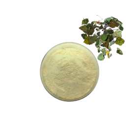 Epimedium Extract Manufacturer - Natural Icariin 5-98%