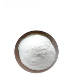 Huperzine A Powder Factory - 1% Leaf Extract