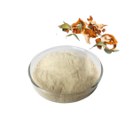Hesperidin Powder Factory - 95% HPLC Citrus Extract
