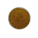 Bacopa Extract Factory - Bacopasides Powder