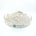 Polygonum Extract Factory - 50% Resveratrol