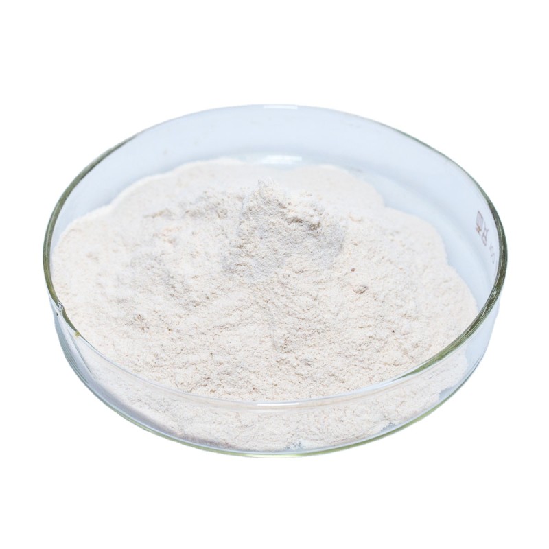 Nattozimes Powder Manufacturer - 40000FU/G K2 Free