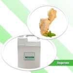 Zingerone Powder Factory - Flavoring CAS 122-48-5